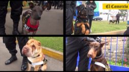 La brigada canina de la PNP que participará en Parada Militar