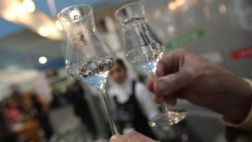 Pisco Vargas se prepara para su incursión en mercado brasileño