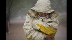El clima mata a 2.000 personas al año solo en Estados Unidos