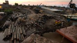 Editorial: Bosques ignorados