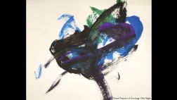 Cuando los animales crean arte