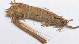 Descubren evidencia más antigua del caballito de totora