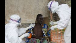 EE.UU. busca probar vacuna contra el ébola en humanos