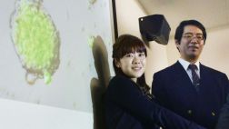 Científico japonés se suicida tras meses de críticas