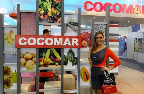 Cocomar prevé alcanzar ingresos por los US$15 millones este año