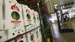 ¿En qué productos agrícolas somos los primeros exportadores?