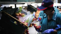 Ecuador, Chile y Uruguay le ofrecen sus productos a Rusia