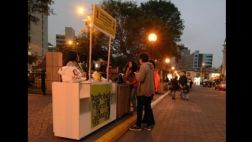 Miraflores admite que voluntarios promueven adopción de gatos