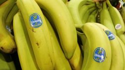 Brasileñas se suman a competencia por compañía Chiquita