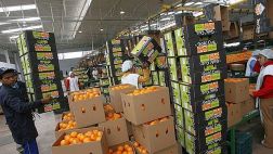Potencial de ventas peruanas a Rusia supera los US$ 1.000 mlls