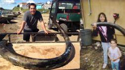 Halla colmillo de mamut donde su madre halló otro