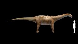 Reconstruyen la armadura del último dinosaurio gigante
