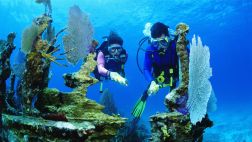 Google planea lanzar recorrido virtual 'submarino' en Florida