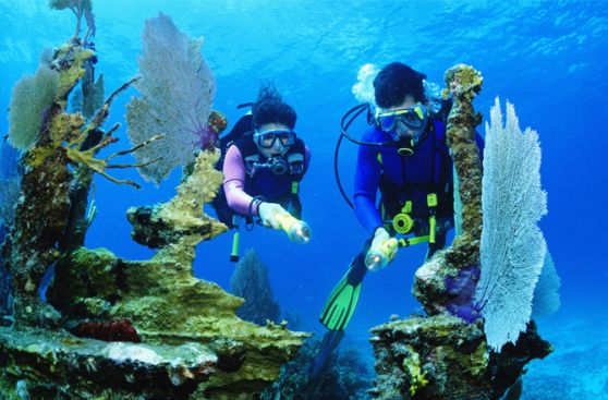 Google planea lanzar recorrido virtual 'submarino' en Florida
