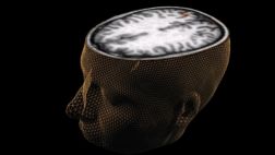 Once cosas que le hacen daño a tu cerebro
