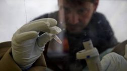 Falsa alarma en España: Pruebas descartan nuevo caso de ébola