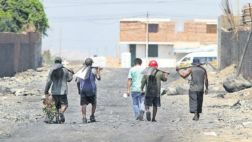 Investigan denuncias de trabajo infantil en tres regiones