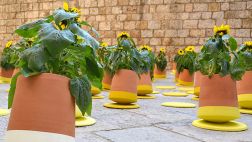 Esta maceta ayudará a que tus plantas crezcan sanas y fuertes
