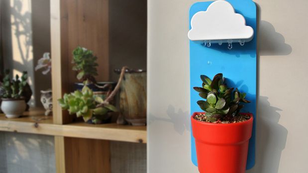 Rainy pot: El objeto que te ayudará a regar tus plantas
