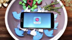 Conoce la app oficial de Mistura 2014