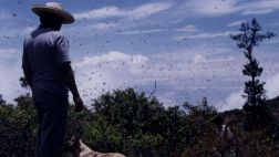 Huánuco: prisión preventiva para secuestradores de campesino
