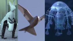 VIDEO: Cinco animales robóticos con movimientos impresionantes