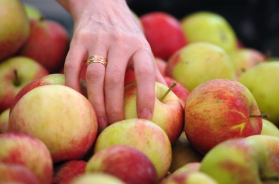 En Estados Unidos mejora dieta, pero no entre los pobres