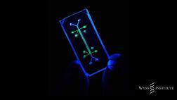 Este chip pondría fin a las pruebas de animales en laboratorios