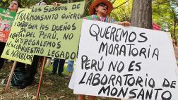 Congreso evaluará volver a permitir el ingreso de transgénicos