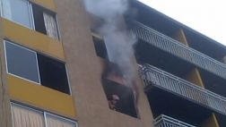 Mascotas murieron por incendio en Chorrillos
