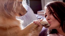 Nuevo integrante: Cuatro razones para que adoptes a una mascota