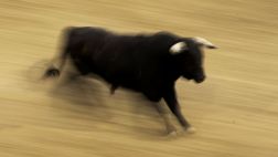 Alcalde de Bogotá cumplirá fallo sobre corridas de toros