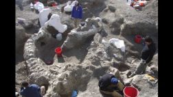 Descubren en Argentina dinosaurio que deja chico al T.Rex