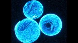 Células artificiales: cada vez más cerca de ser realidad