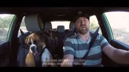 VIDEO: Piloto lleva a su perro a hacer drift