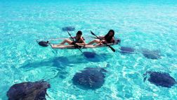 Disfruta del mar de forma diferente en este kayak transparente