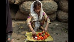 ONU: una de cada nueve personas sufre de hambre en el mundo