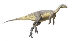 Descubren nueva especie de dinosaurio enano en Portugal