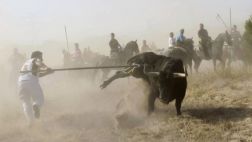 ¿Tortura o tradición? Polémica por el Toro de la Vega