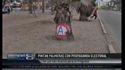 Comas: Alianza para el Progreso pintó palmeras con su logo