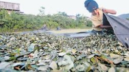 Perú y Brasil pactan estrategia para frenar el narcotráfico