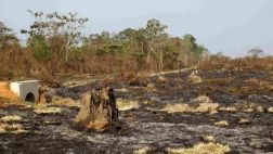 La humanidad demanda el doble de lo que la Tierra puede renovar