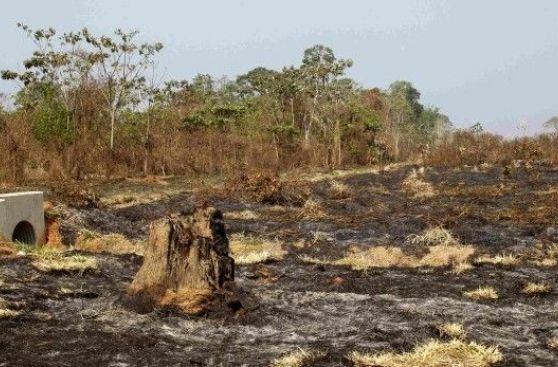 La humanidad demanda el doble de lo que la Tierra puede renovar