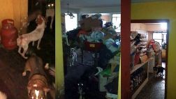 Albergue clandestino de perros funcionaba en Jesús María