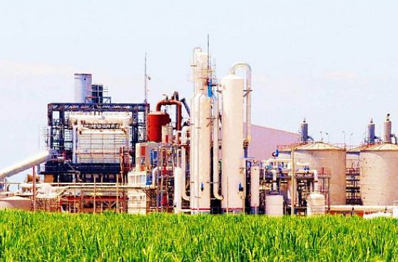 Graña y Montero retiró oferta de compra de Maple Companies