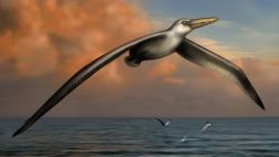 Las "manos" de dinosaurios dieron paso a alas de las aves