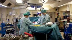 La primera mujer con útero trasplantado dio a luz en Suecia