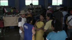 Un ratón causó apagón en Tumbes