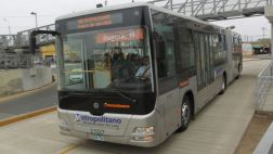 Servicios expresos de Metropolitano no circulan hoy por feriado