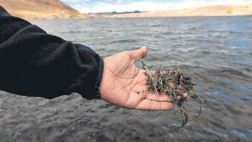 Arequipa: declaran en emergencia sistema de agua potable